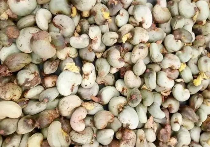 Cashew Nuts